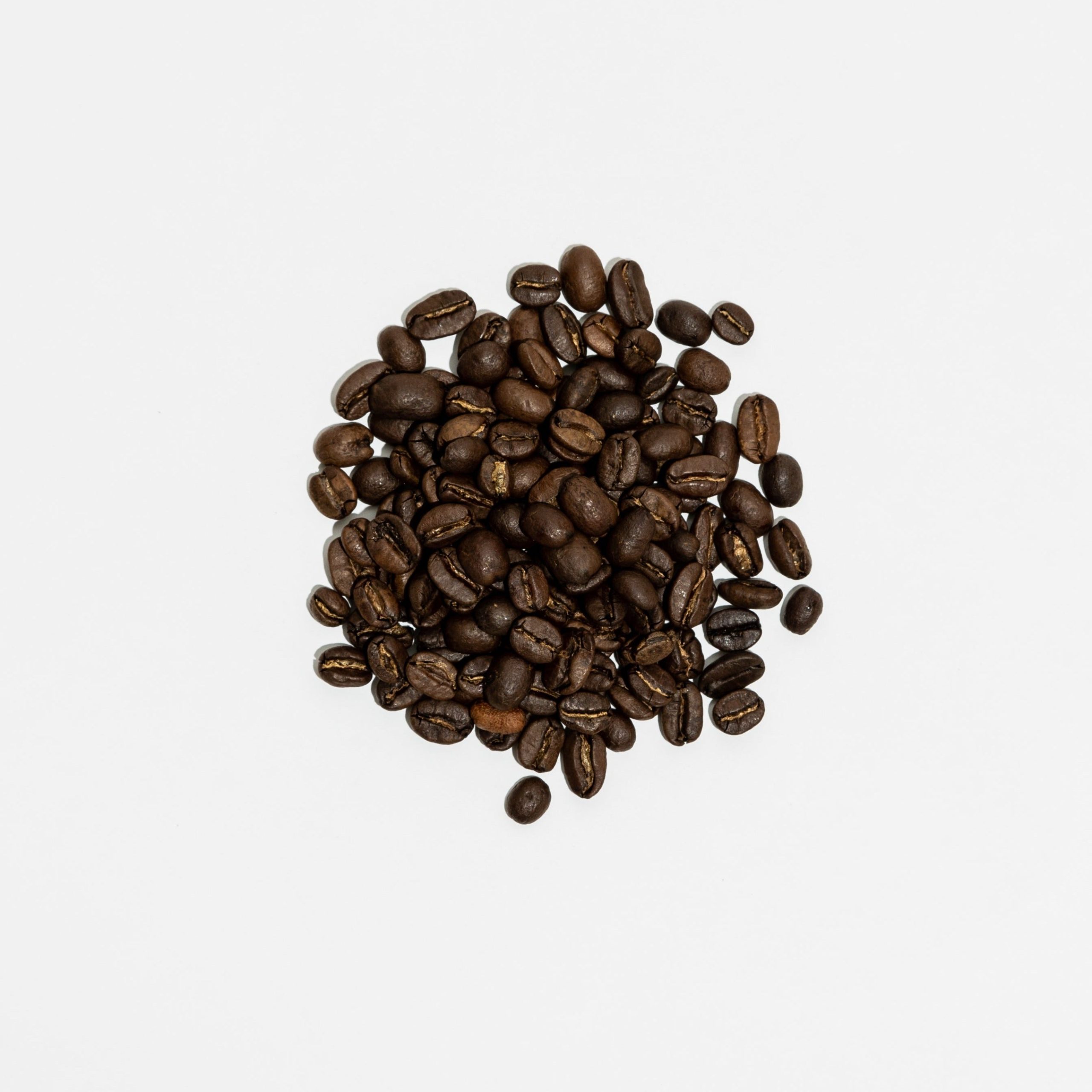 mystic-brew-5lb-office-subscription-1318258.jpg